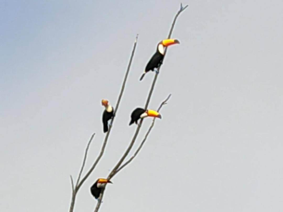 Pousada Cantinho De Deus Conservatória Buitenkant foto